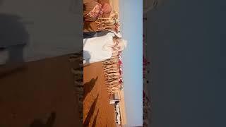 Ramesh Raj vlogs New video ️️️️️️️️️️️️
