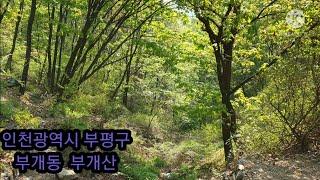 [인천 가볼만한곳] 인천광역시 부평구 부개동 부개산