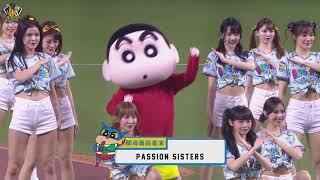 【易遊網爪嗨賴】04/19 蠟筆小新大巨蛋防衛隊參上主題日，Passion Sisters帶來俏皮又可愛的開場舞蹈。CTBC Brothers 中信兄弟