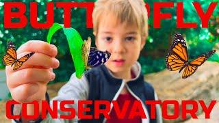 Escape Reality At Niagara Butterfly Conservatory. Things To Do. Vlog.