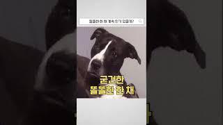 똘똘한 한 채, 앞으로도 계속될까요? (정권도 교체됐는데...) #똘똘한한채 #부동산세금 #부동산절세 #부동산정책 #제네시스박