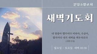 [새벽기도회] 열왕기하 20:1-11 | 2024.10.08 | 공민지 전도사