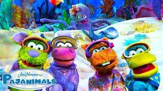 Pajanimals Go Under the Sea! | 25+ Minutes Kids Cartoon | Pajanimals