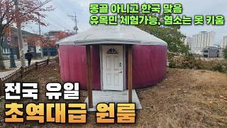 아니 한국 원룸이요...?초역대급 원룸 (몽골아님,염소못키움,유목민체험가능)