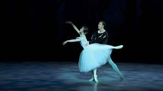 The American Repertory Ballet's "Giselle"