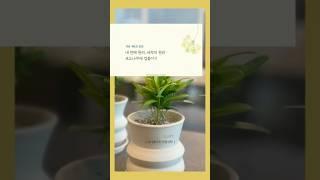극동방송과 함께 하는 오디오 성경공부 마더와이즈 자유/6과 강의 #포도나무 #가지 #새싹