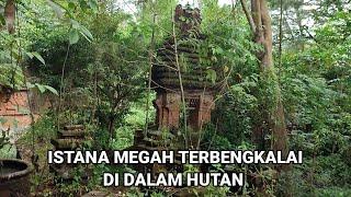 Gempar! Istana Orang Sakti Muncul Di Dalam Hutan