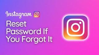 How To Reset Instagram Password If You Forgot It