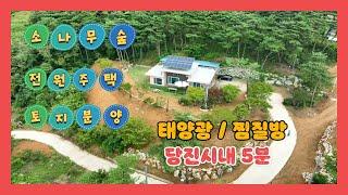 가격인하 7억(670)당진시내 인프라 소나무산이 좋은 자연속 전원주택 매매및 토목공사된 주택지 매매/당진시내 차량5분/직영된 견고한 철콘주택[전원주택][당진전원주택][당진부동산]