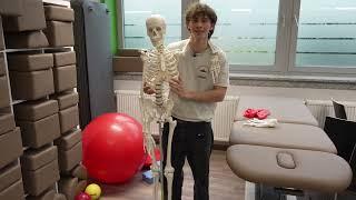 Interview Schüler Ausbildung Physiotherapie GSSW Freiburg