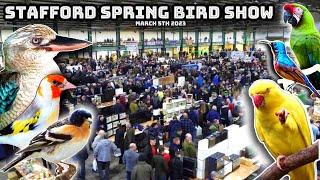 Stafford Spring Bird Show 2023 - HUGE Bird Sale