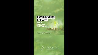 Watch and learn how to unlock untold benefits of money plants.