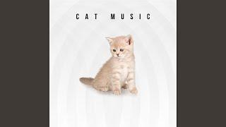 Cat Music