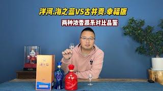 洋河海之蓝和古井贡幸福版对比品鉴，同梯队哪款更出色？