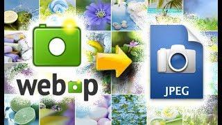 Формат WEBP Чем открыть и как конвертировать в JPG