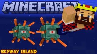 ГРОЗНЫЕ СТРАЖИ - Minecraft Skyway Island Survival 07