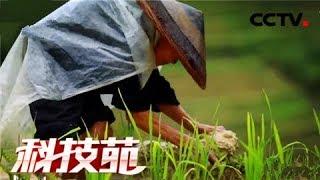 【Agricultural Technology】20171227 | CCTV Agriculture