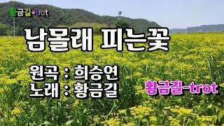 [Cover]  황금길 - 남몰래피는꽃  (원곡 /희승연)   영상가사