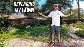 How to Replace Your Lawn with Native Groundcovers! Full 1 Year Update