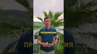 Что нужно знать при переезде в Таиланд? #инвестиции #пхукет #тайланд #недвижимость #таиланд