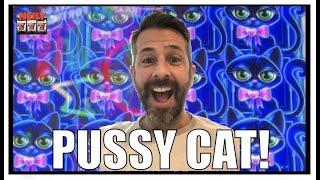 I GOT THE GIGGLES PLAYING PUSSY CAT SLOT MACHINE!