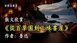 經典散文欣賞《從百草園到三味書屋》作者：魯迅 #文學 #讀書 #閱讀 #asmr #曆史 #故事 #工作氛圍 #有聲書 #學習氛圍