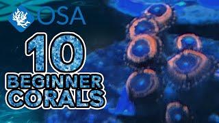 Zoanthids/Palythoas - 10 Beginner Corals