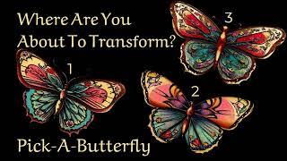 Where is your life about to transform? Pick-A-Butterfly