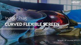 MPLED Indoor P1.25 Creative Curved Flexible LED Screen