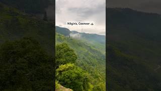 Nilgiris in Coonoor️ #ytshorts #shorts #short #shortvideo #youtubeshorts #shortsfeed #viral #yt