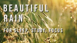 Soothing Rain Sounds for Sleep, Studying | White Noise 10 Hours