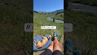 Adventures with Koti & Zero. If this is your vibe... #dailyvlog #travelvlog #hikingadventures