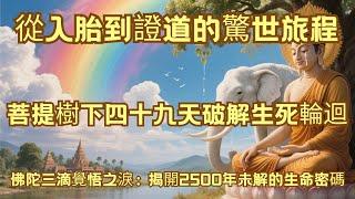佛陀三滴覺悟之淚：揭開2500年未解的生命密碼#佛教 #佛法 #佛教玄學 #佛教智慧 #佛學知識 #佛學智慧 #修心修行 #佛教文化 #禪悟人生 #傳統文化