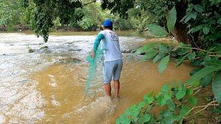 Atarrayazos Llenos de Muchos Peces Gran Pesca y Cocina