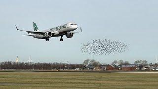 A321 Landing Goes Wrong
