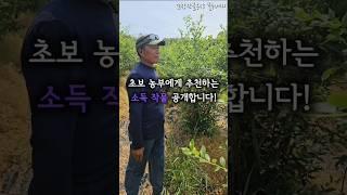 40년 넘은 농부가 추천하는 소득작물은?