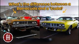What's the difference? Comparing the 1971 Barracuda and 'Cuda