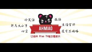 关于Ahmiao Tv - 我是一只不平凡的猫