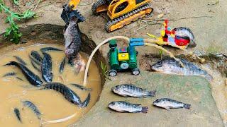 Catch fish using mini water pump | fishing exciting | diy tractor ‪@Mini Fish Creator