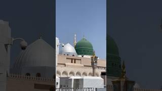 Meray Aqa ko daykho gay #madina #makkahmadina