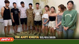 Tin tức an ninh trật tự nóng, thời sự Việt Nam mới nhất 24h khuya ngày 2/3 | ANTV