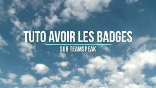 COMMENT AVOIR TOUS LES BADGES TEAMSPEAK