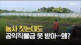 농사 짓는데도 공익직불금 못 받아…왜? / KBS 2021.06.09.