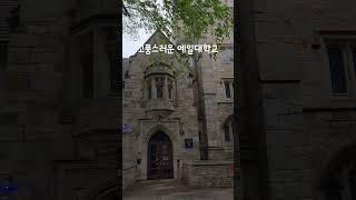 미국 명문대 아이비리그투어 해보기 / 고풍스러움의 끝판왕 예일대학교 / 정말 예쁜 교정