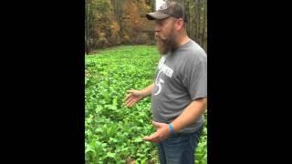 throw and grow food plot tutorial