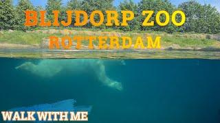 ROTTERDAM ZOO ~ DIERGAARDE BLIJDORP ~ Netherlands #blijdorp #diergaardeblijdorp #rotterdam