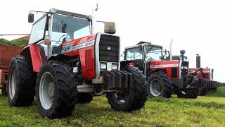 Vintage Grass Silage Day 2024 | More Than 60 Tractors in The Field chopping Grass