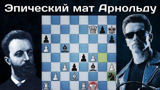 Михаил Чигорин жертвует две Ладьи, Ферзя и ставит мат Конем! Шахматы