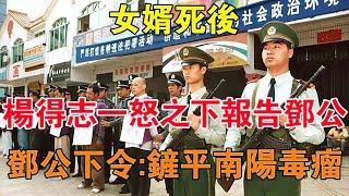 女婿死后，楊得志一怒之下報告鄧公，鄧公下令：鏟平南陽社會毒瘤 【舊時風云】