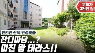 집 주위를 초대형 잔디마당 테라스가 둘러쌓았다!? [H1219][경기광주빌라매매][경기광주복층빌라][구해줘 홈즈][하우스투어][무입주금][전액대출]